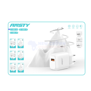 ANSTY CHARGER 2.4A MICRO - MODEL C-101-A
